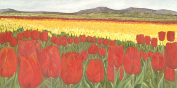 Abundance 4